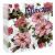 Infinezza Servetele 20/set 33x33 White Flowers 3STR 90038402