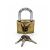 Lacat Finisat Gold 63mm LT77064