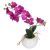 Orhidee In Ghiveci Alb 20 X 20 X 26 Cm 155716