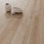 Parchet Laminat Platinum Baroque Oak,10 Mm, Clasa 32, AC4-32 VG 1.84 Mp/cutie