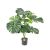Philo Monstera Verde H:95CM 116495