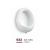 Pisoar Suspendat Ceramic Cu Accesorii 032