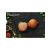 Platou Ardezie Dreptunghiular 30X15 Cm Hr-jt-3015