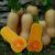 Plic Dovleac Butternut 2.5gr