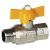 Robinet Gaz Pentru Furtun 352004