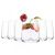Set Pahare Sticla Terra 367 475 ML 6PCS Tra367