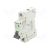 SH INTRO AUTO EASY9 PRO 25A 1P C 6KA EZ9F57125 EL0097350