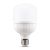 TG Bec Led 100W E27/E40 6500K EL0068384