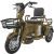 Triciclu Electric RDB Sinoe Pro Brown L1Z9LK111RA001580
