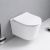 Vas Wc Suspendat+capac 520x360x350 Alb Lucios