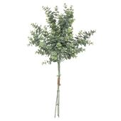 Buchet De Eucalipt 64 Cm Inaltime 179274
