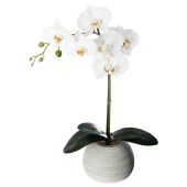 Orhidee Artificial 53 Cm Cu Ghiveci Din Beton 160018